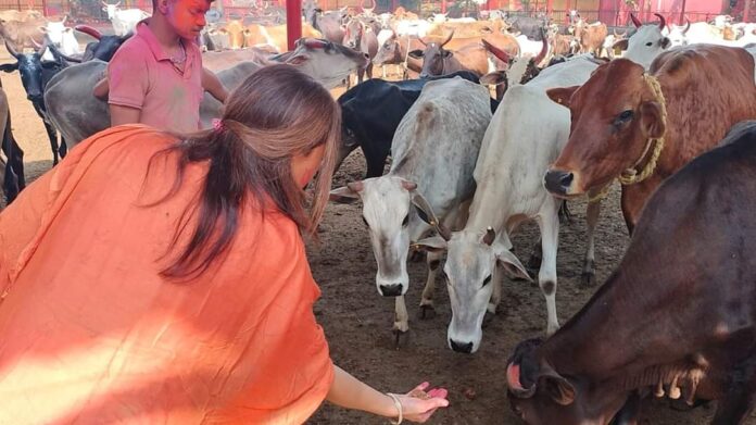 WhatsApp Image 2024-03-25 at 17.38.10