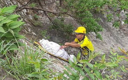 Screenshot 2024-06-27 at 17-36-46 (142) WhatsApp