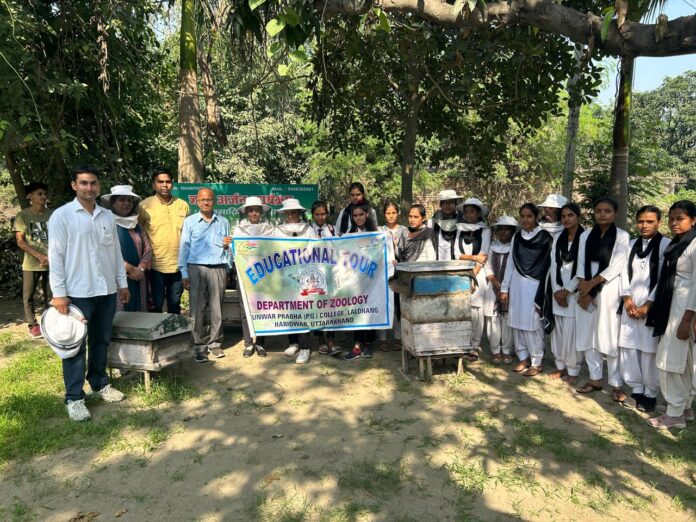 WhatsApp Image 2024-10-05 at 14.30.07